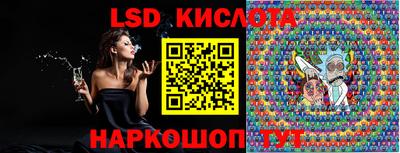 СК Новодвинск