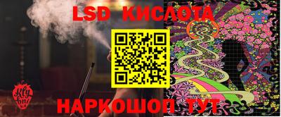 СК Новодвинск