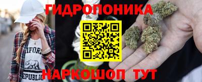 СК Новодвинск