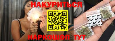 СК Новодвинск