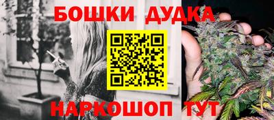 СК Новодвинск