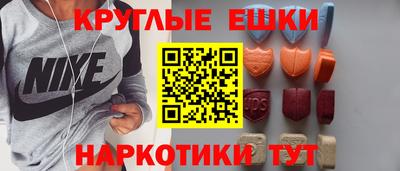СК Новодвинск