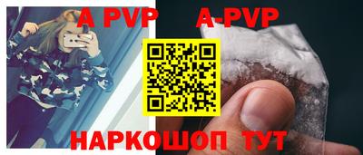 СК Новодвинск