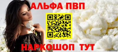 СК Новодвинск