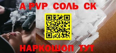 СК Новодвинск
