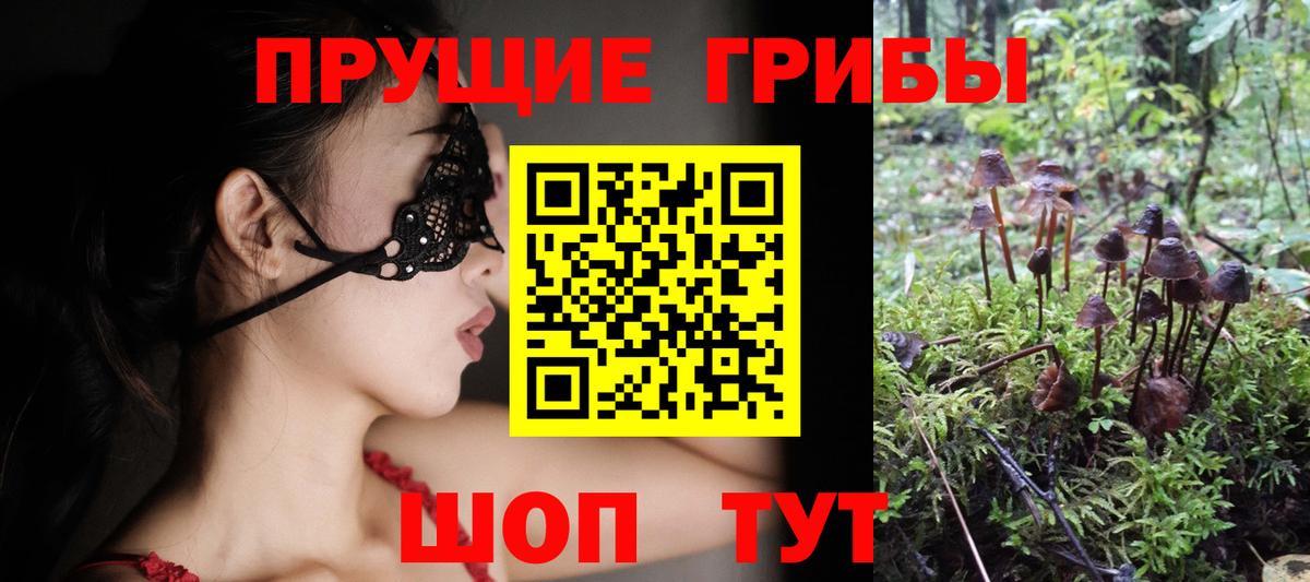 Тимашёвск  Псилоцибиновые грибы MAGIC MUSHROOMS  Вход с VPN  Галлюциногенные грибы MAGIC MUSHROOMS 